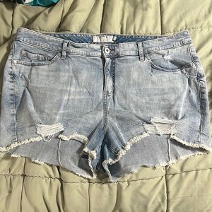 Torrid distressed jean shorts 22